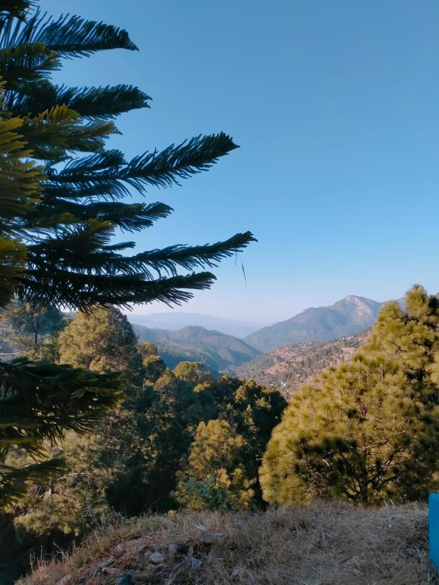 Shree Home Stay Dwarahat Dış mekan fotoğraf