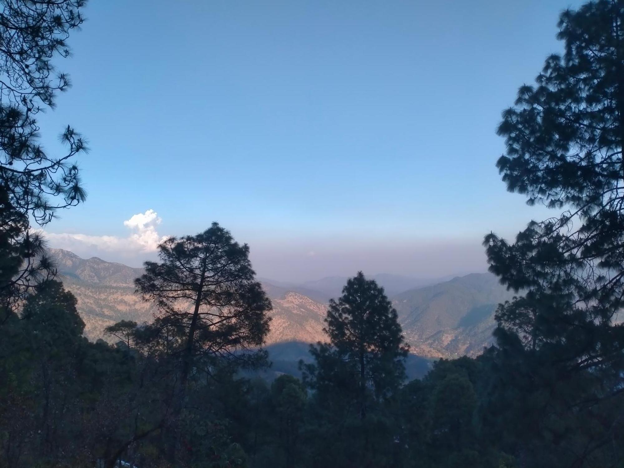 Shree Home Stay Dwarahat Dış mekan fotoğraf